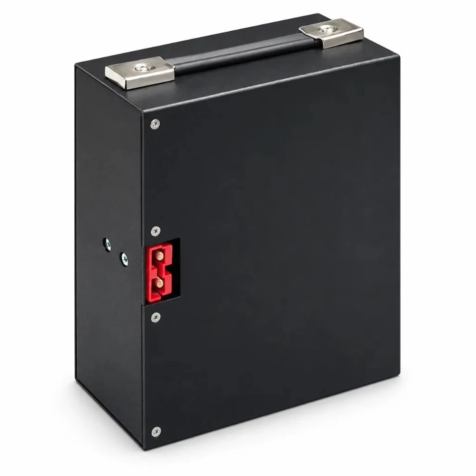 24V 48V Industrial Electric Forklift Lithium Battery Pack (GEB-EF-01, Steel Case 30A)