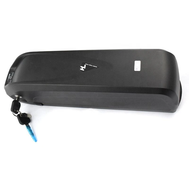 Hailong Battery 48v 20ah
