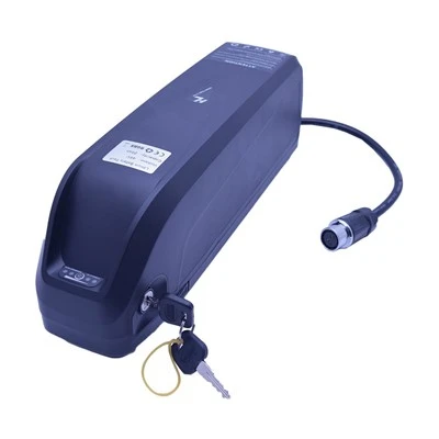 Hailong Battery 48v 20ah