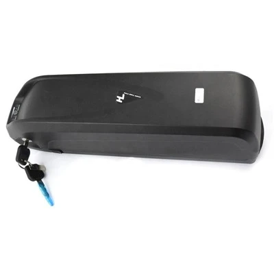 Hailong Battery 48v 20ah